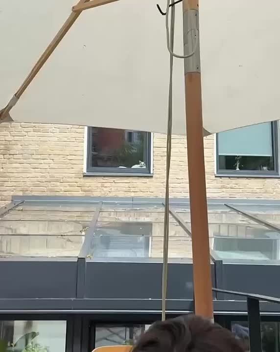  , .    ,      