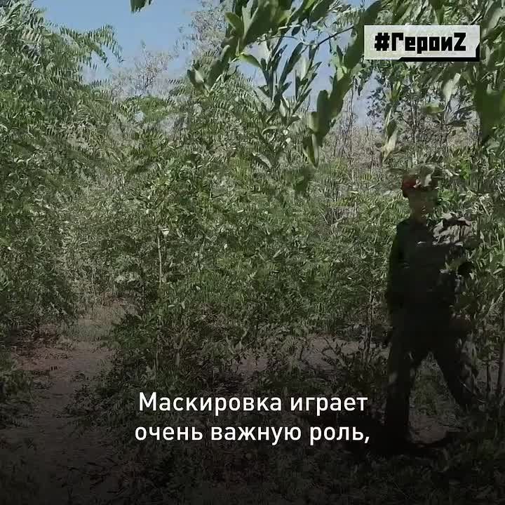   Z.   ,    ,        ,     