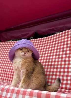  , !.        -    
