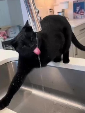  , !