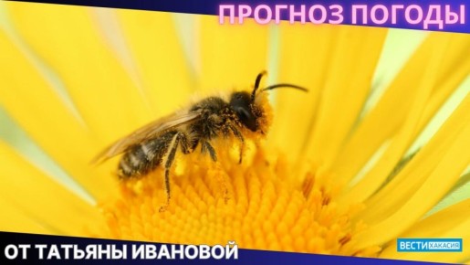  ,          ,     ,       
