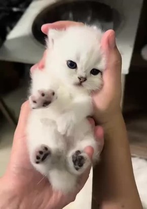  , !