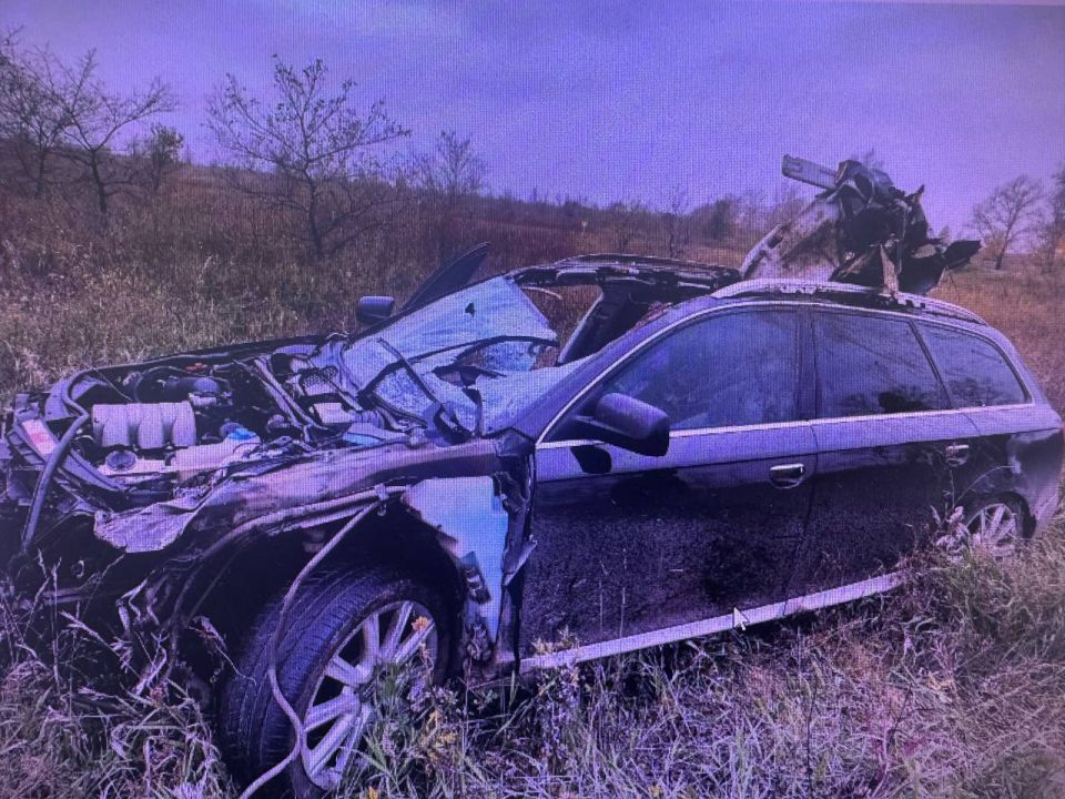 В Хакасии выбежавшая на проезжую часть лошадь стала причиной ДТП