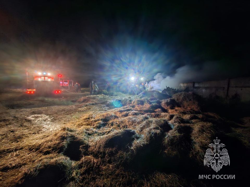 Два пожара потушили за сутки в Хакасии