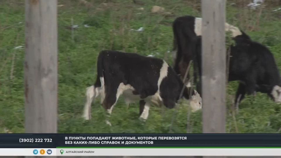   Ш.   -  