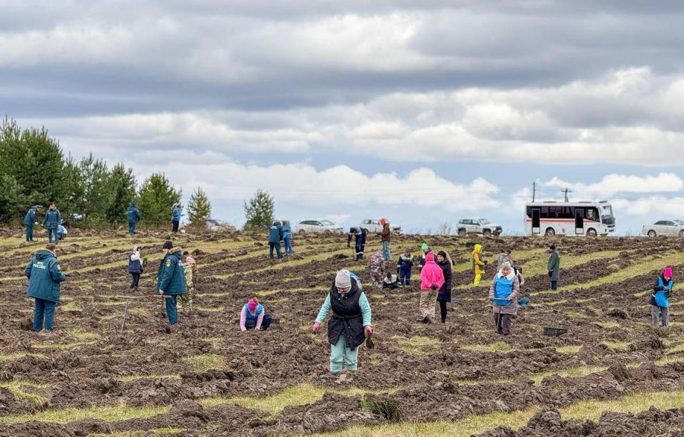 Хакасия завершила акцию «Сохраним лес»