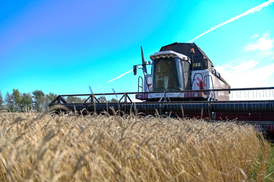 Валентин Коновалов: Уважаемые труженики села и работники перерабатывающей промышленности! Поздравляю вас с профессиональным праздником!