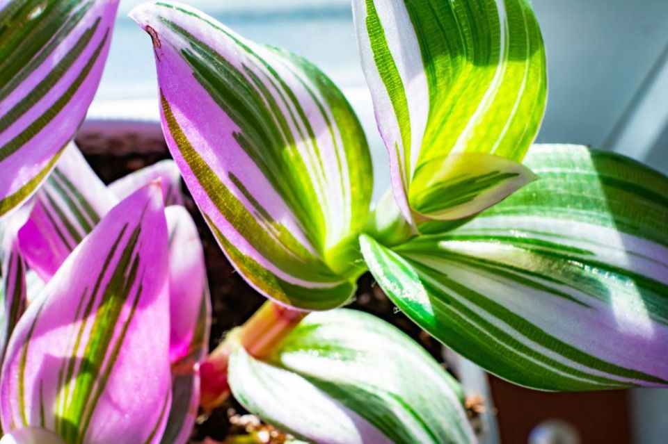  ,   ,    ,  60%     ,      