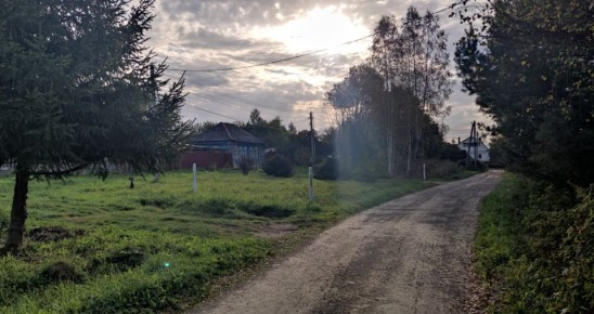 Дачный бизнес под угрозой: новые ограничения для владельцев участков