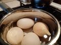 Почему варить яйца так – запрещено: самое важное правило, которое все игнорируют