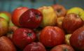 Как улучшить вкусовые качества яблок: советы дачникам