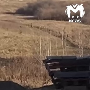 Собаки, загрызшие ребенка в Красноярском крае, также напали на мужчину