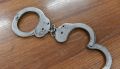 В Красноярском крае задержан председатель общественной организации, ответственной за отлов животных
