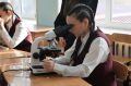 Уже определились с выбором: в Белоярской школе открылся новый медицинский класс