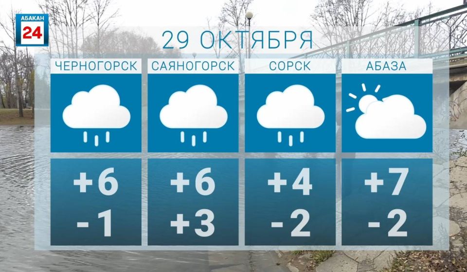  , .     6-       ,       Telegram | MAX