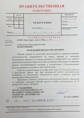 Режим экстраординарной ситуации из-за бродячих собак требуют ввести федералы в Красноярском крае