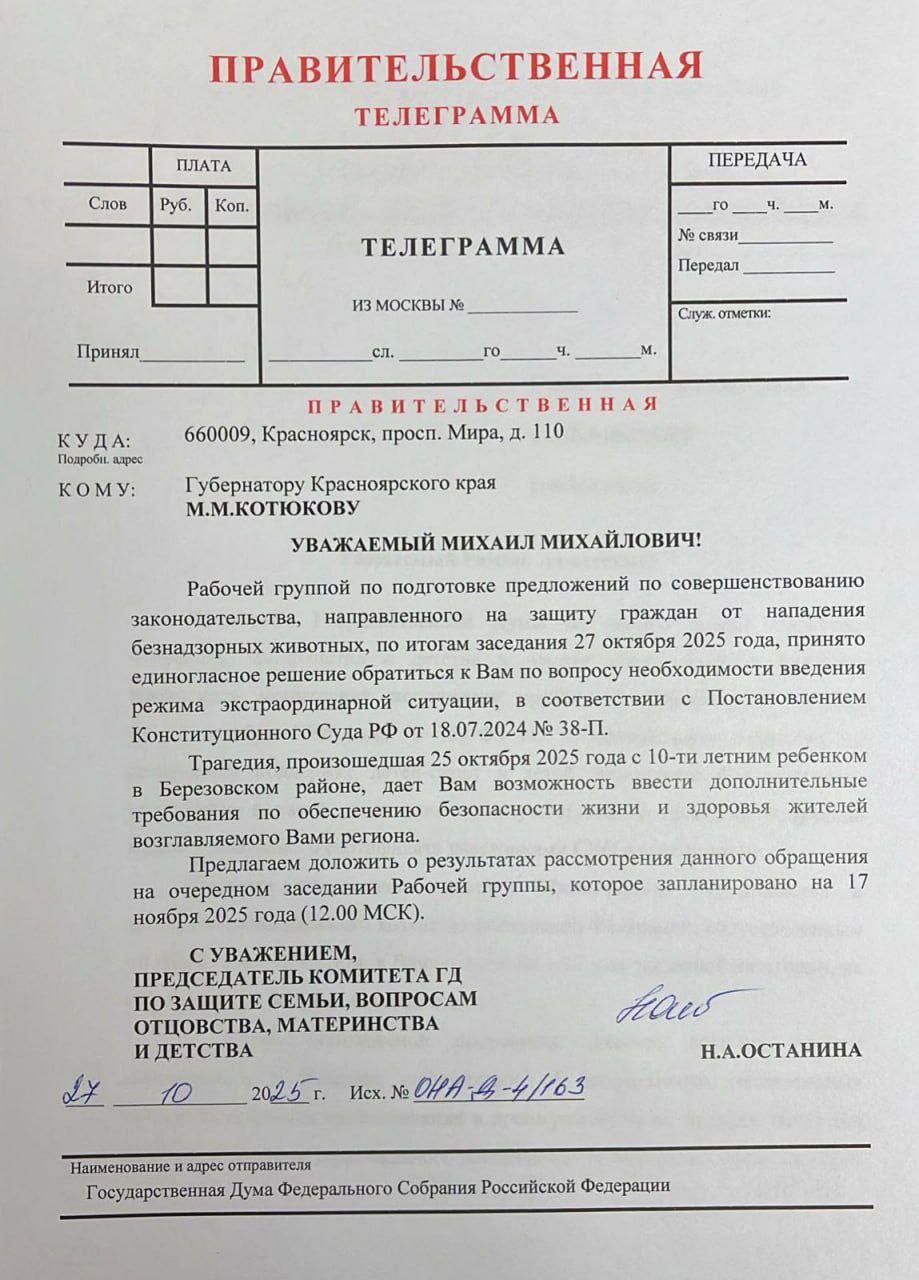 Режим экстраординарной ситуации из-за бродячих собак требуют ввести федералы в Красноярском крае