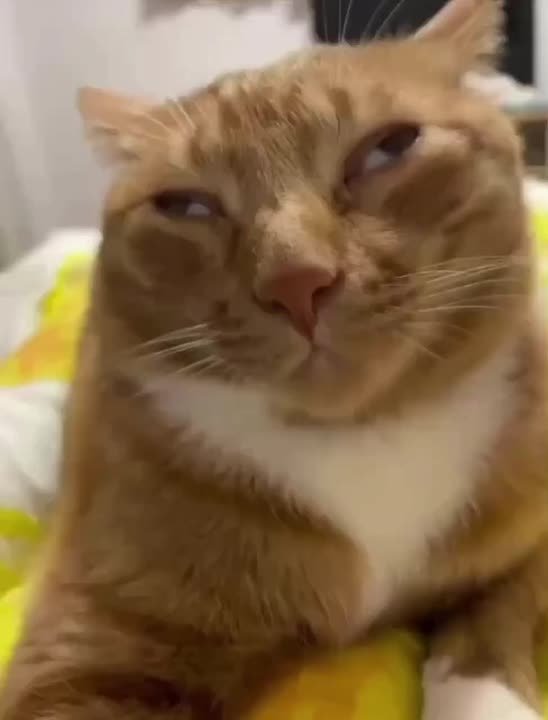 Доброе утро, Хакасия!