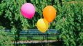Дачники скупают воздушные шары пачками: используют их совсем не для декора