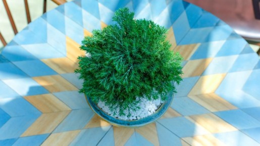 Вода сделает только хуже: вот как на самом деле нужно хранить зелень