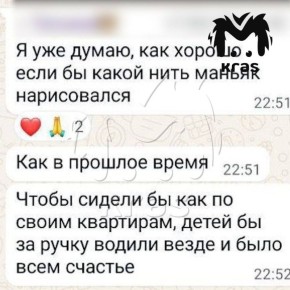 Уголовное дело на комментаторов, которые оскорбляли родителей растерзанного собаками ребёнка, возбудили в Красноярском крае