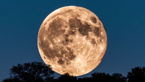 Самую большую в этом году Луну можно увидеть сегодня