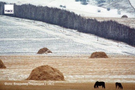 #архив_ТАСС_Сибирь. Степной пейзаж