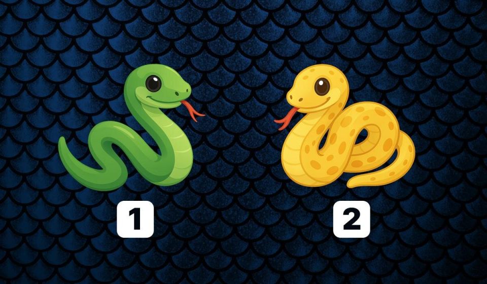 Какой у вас имидж? Простой тест поможет раскрыть тайны вашей репутации