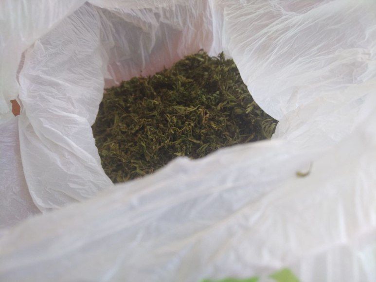 Очень любит марихуану: абаканец купил более 300 граммов наркотика