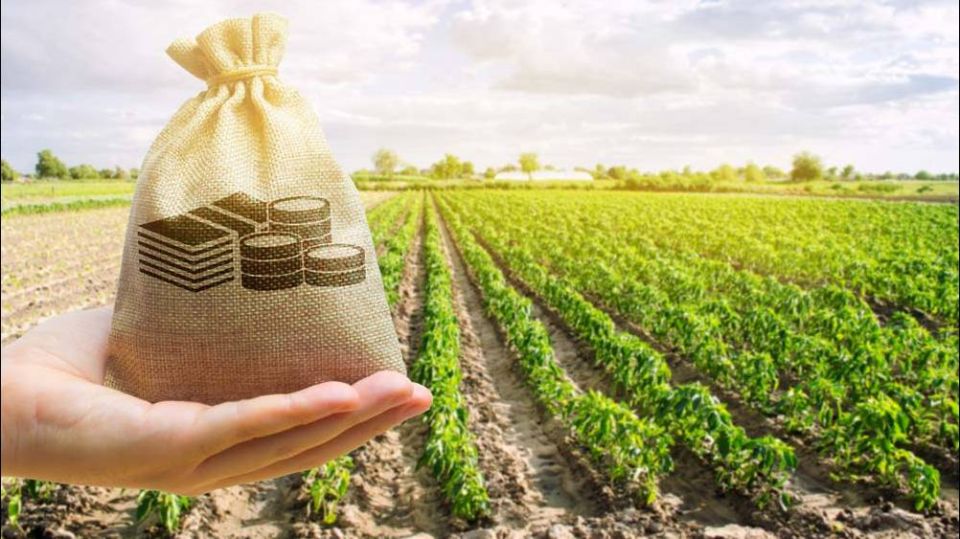 Как избежать потери земельного участка после окончания аренды: практические советы