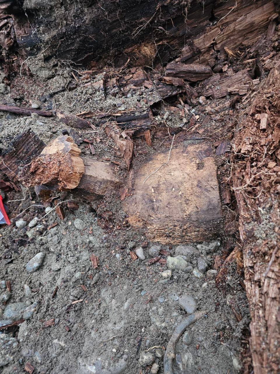 А вот и первые находки археологов, ведущих охранные раскопки на стройплощадке в районе Нефтебазы в Абакане А вот и первые находки археологов, ведущих охранные раскопки на стройплощадке в районе Нефтебазы в Абакане