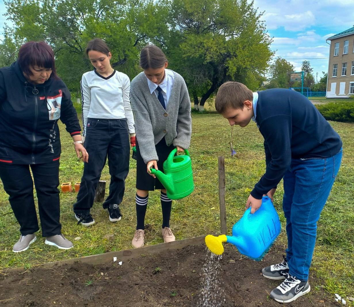 Кедры из Хакасии прижились на Донбассе Кедры из Хакасии прижились на Донбассе