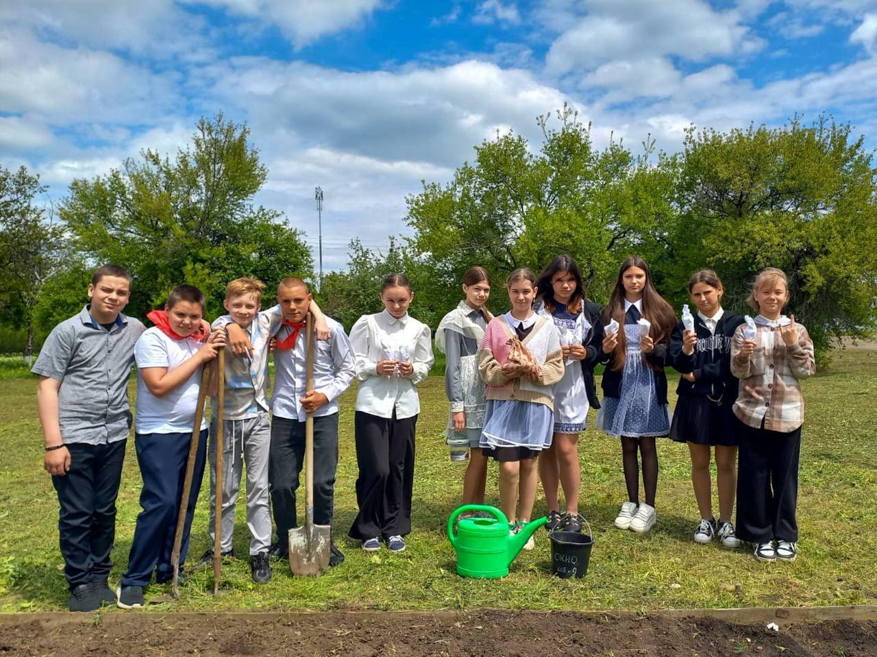 Кедры из Хакасии прижились на Донбассе Кедры из Хакасии прижились на Донбассе