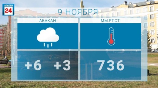  , .  ,               Telegram | MAX