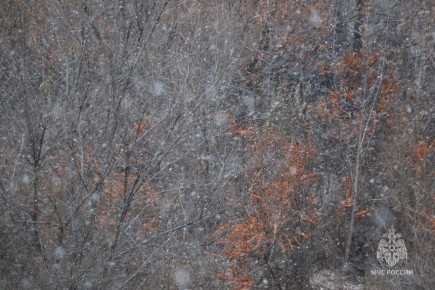 В Хакасии ожидается метель