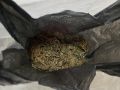У жителя региональной столицы наркополицейские Абакана изъяли марихуану