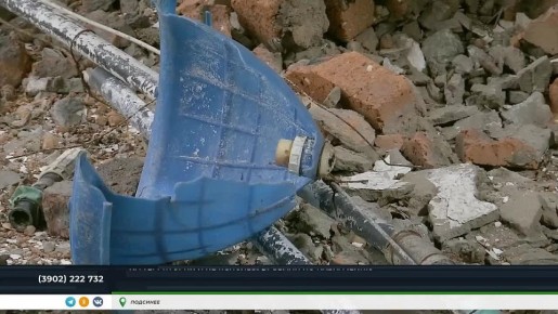 ПТИЦЕФАБРИКУ В ПОДСИНЕМ ХОТЯТ ИЗЪЯТЬ У ВЛАДЕЛЬЦА