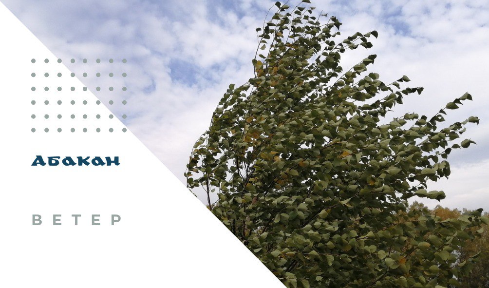 По Республике Хакасия 13 ноября ожидается сильный ветер, местами порывы 17-22 м/с, на дорогах гололедица