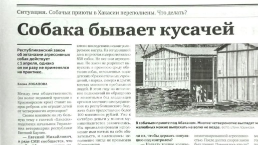 Видеообзор газеты «Хакасия» от 13 ноября