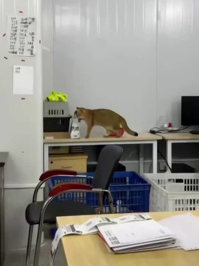 Доброе утро, Хакасия! Настраиваемся на продуктивный день