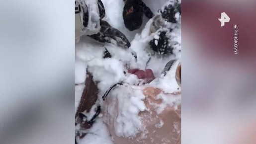 Туристку накрыла снежная лавина в Хакасии — девушку пришлось откапывать лопатами