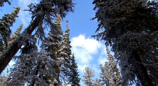 Любуемся природной красотой осенней Хакасии, друзья