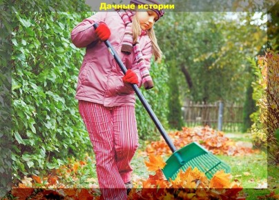 Осень в саду: как правильно сажать деревья и подготовить их к зиме