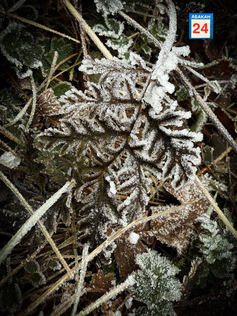 Не более 10 дней климатическая осень длилась в Хакасии в этом году