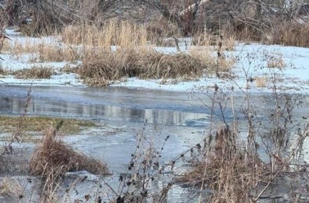 Трагедия в Боградском районе: отец обнаружил тело сына в реке