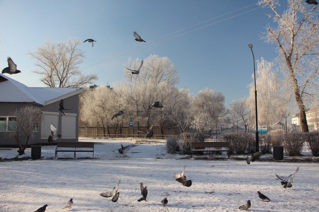 Алексей Лемин рассказал, что благодаря инициативному бюджетированию и реализации инициативных проектов в этом году в городе появились несколько новых локаций: Алексей Лемин рассказал, что благодаря инициативному бюджетированию и реализации инициативных проектов в этом году в городе появились несколько новых локаций: