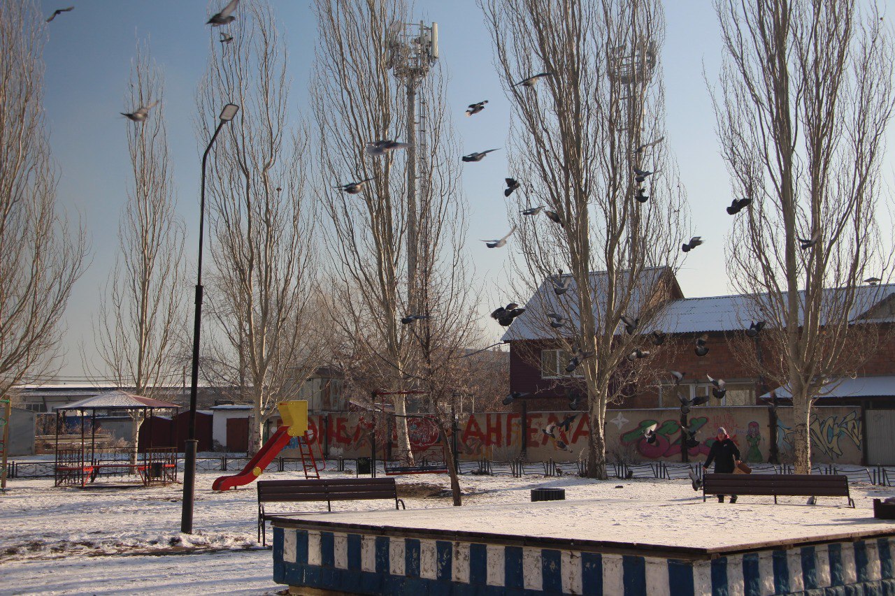 Алексей Лемин рассказал, что благодаря инициативному бюджетированию и реализации инициативных проектов в этом году в городе появились несколько новых локаций: Алексей Лемин рассказал, что благодаря инициативному бюджетированию и реализации инициативных проектов в этом году в городе появились несколько новых локаций: