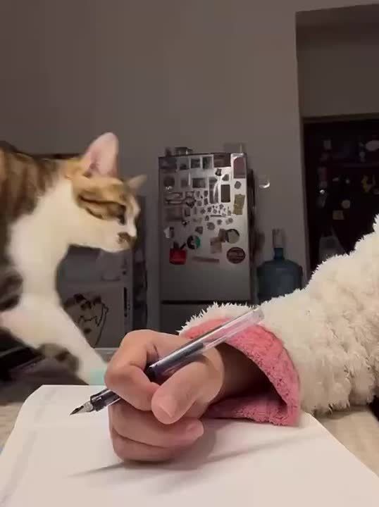 Доброе утро, Хакасия!