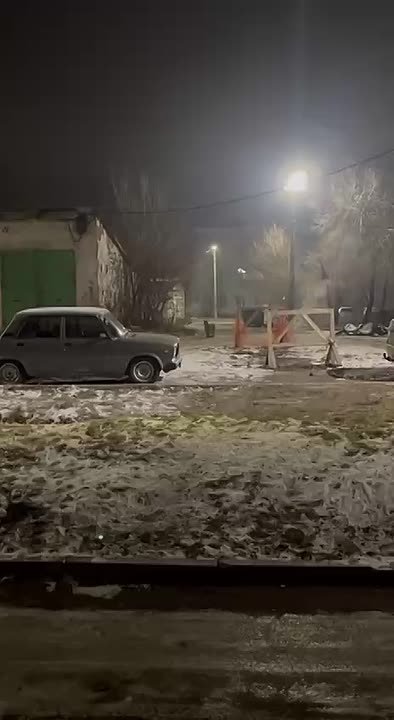 Рысь, разгуливающую по ночной улице, встретили черногорцы