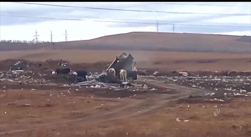 Нарушителя, сваливающего мусор из грузовика в чистом поле, поймали с поличным сотрудники регионального Минприроды